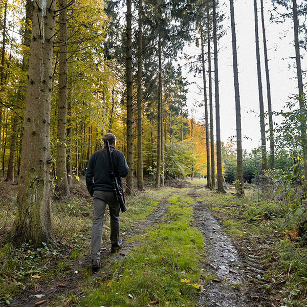Unterwegs im Wald Unterwegs im Wald